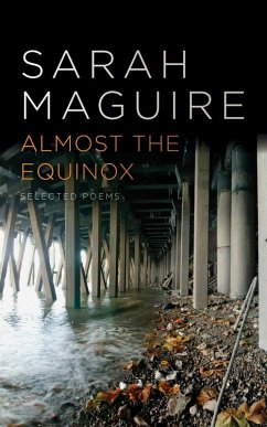 Cover Almost the Equinox (eBook, ePUB)