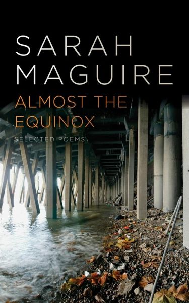 Almost the Equinox (eBook, ePUB)