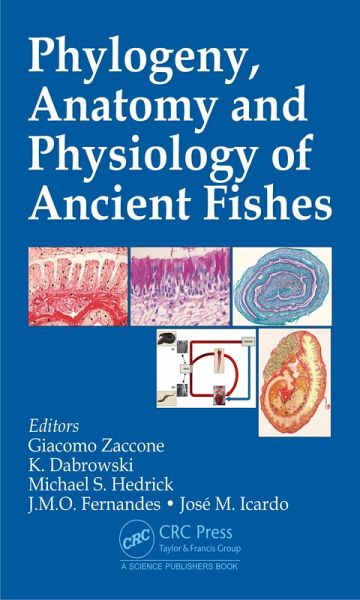 Phylogeny, Anatomy and Physiology of Ancient Fishes (eBook, PDF) Phylogeny, Anatomy and Physiology of Ancient Fishes (eBook, PDF)