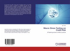 Macro Stress Testing on Credit Risk