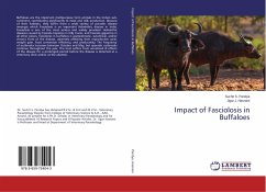 Impact of Fasciolosis in Buffaloes