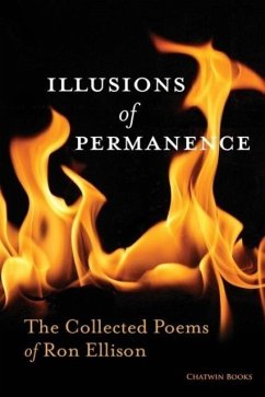 Illusions of Permanence - Ellison, Ron