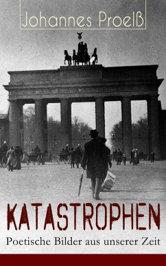 Katastrophen - Poetische Bilder aus unserer Zeit (eBook, ePUB) Cover Katastrophen - Poetische Bilder aus unserer Zeit (eBook, ePUB)