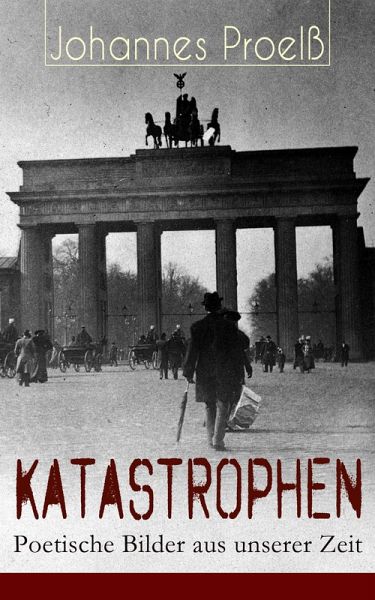 Katastrophen - Poetische Bilder aus unserer Zeit (eBook, ePUB)