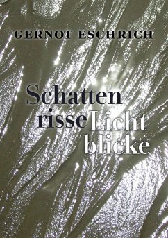 Schattenrisse - Lichtblicke (eBook, ePUB) Schattenrisse - Lichtblicke (eBook, ePUB)