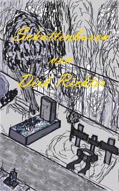 Cover Schattenboxen (eBook, ePUB)