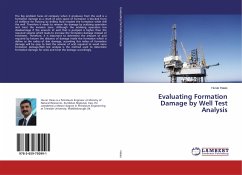 Evaluating Formation Damage by Well Test Analysis