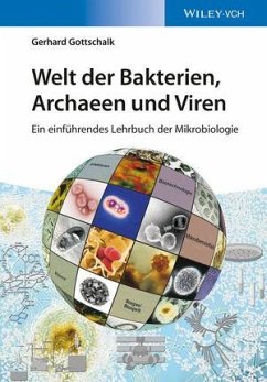 Welt der Bakterien, Archaeen und Viren (eBook, PDF) - Gottschalk, Gerhard