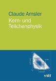 Kern- und Teilchenphysik (eBook, PDF)