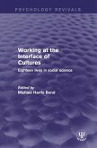 Working at the Interface of Cultures (eBook, ePUB)