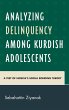 Analyzing Delinquency among Kurdish... - Bild 1