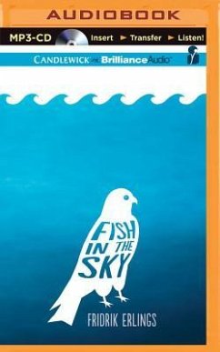 Fish in the Sky - Erlings, Fridrik