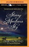 Starry Montana Sky