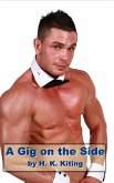 A Gig on the Side (eBook, ePUB) A Gig on the Side (eBook, ePUB)