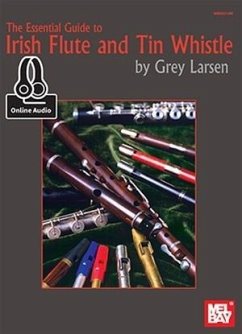 Essential Guide To Irish Flute And Tin Whistle - Grey E Larsen