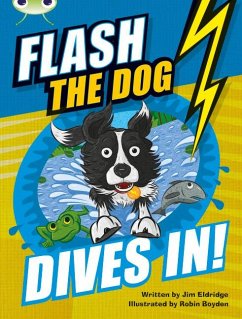 Bug Club Independent Fiction Year 3 Brown B Flash the Dog Dives In! - Eldridge, Jim