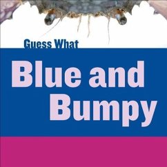 Blue and Bumpy - Macheske, Felicia