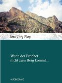 Wenn der Prophet nicht zum Berg kommt... (eBook, ePUB)