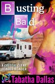Busting Bad (eBook, ePUB)