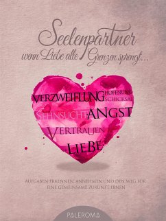Cover Seelenpartner - wenn Liebe alle Grenzen sprengt (eBook, ePUB)