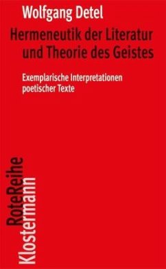 Hermeneutik der Literatur und Theorie des Geistes - Detel, Wolfgang