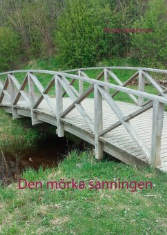 Den mörka sanningen (eBook, ePUB)