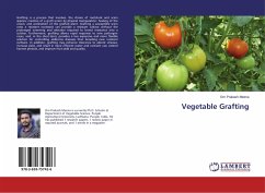 Vegetable Grafting