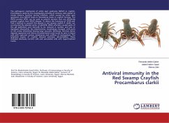 Antiviral immunity in the Red Swamp Crayfish Procambarus clarkii