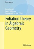 Foliation Theory in Algebraic Geometry