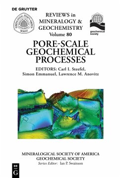 Pore Scale Geochemical Processes