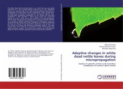 Adaptive changes in white dead nettle leaves during micropropagation