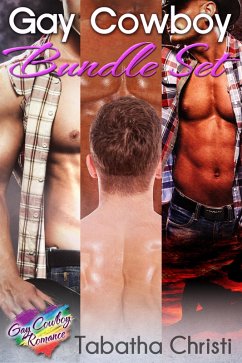 Cover Gay Cowboy Bundle Set (eBook, ePUB)