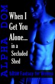 When I Get You Alone in a Secluded Shed: A BDSM Fantasy for Women (eBook, ePUB)