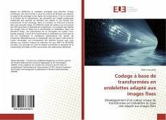 Codage à base de transformées en ondelettes adapté aux images fixes - Harzallah, Maha