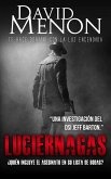 Luciérnagas (eBook, ePUB)