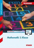 Mathematik 5. Klasse, m. CD-ROM