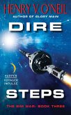 Dire Steps (eBook, ePUB) Dire Steps (eBook, ePUB)