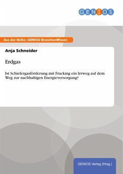 Erdgas (eBook, ePUB) - Schneider, Anja