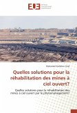 Quelles solutions pour la réhabilitation des mines à ciel ouvert?