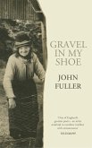 Gravel in my Shoe (eBook, ePUB)