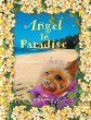 Angel in Paradise - Bild 1