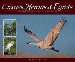 Cranes, Herons & Egrets: The Elegance of Our Tallest Birds - Tekiela, Stan