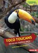 Toco Toucans - Bild 1