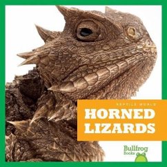 Horned Lizards - Meister, Cari