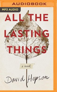 All the Lasting Things - Hopson, David