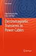 Electromagnetic Transients in Power... - Bild 1