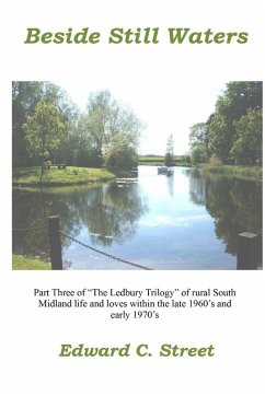 Cover Beside Still Waters