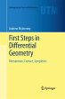 First Steps in Differential Geometry - Bild 1