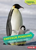 Emperor Penguins