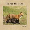 The Red Fox Family - Bild 1